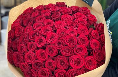 Séduisante et mystérieuse : la rose rouge vous dévoile ses plus grands secrets